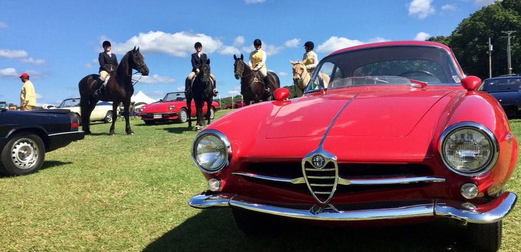 Alfa Romeo Club Polo Match